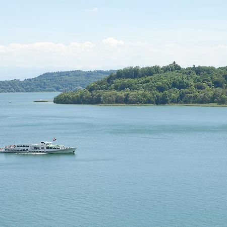 Alpes Et Lac ลาเนอเวอวีลล์ ภายนอก รูปภาพ