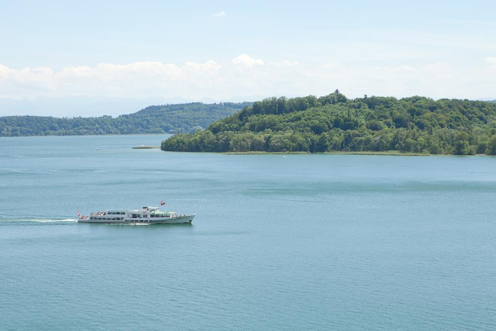 Alpes Et Lac ลาเนอเวอวีลล์ ภายนอก รูปภาพ