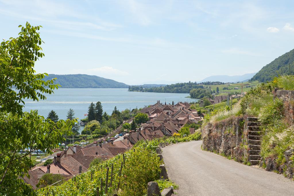 Alpes Et Lac ลาเนอเวอวีลล์ ภายนอก รูปภาพ