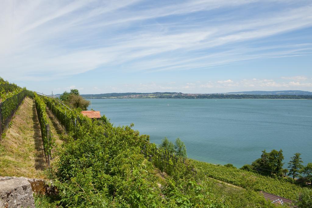 Alpes Et Lac ลาเนอเวอวีลล์ ภายนอก รูปภาพ